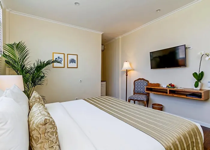 Akaya Bali 3* サヌール